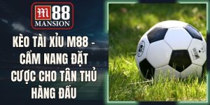 Kèo Tài Xỉu M88 - Cẩm Nang Đặt Cược Cho Tân Thủ Hàng Đầu