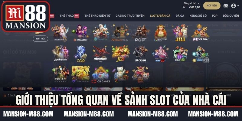Giới thiệu tổng quan về sảnh slot của nhà cái
